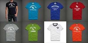   & Fitch by Hollister Mens T shirts New Authentic USA Seller S M L
