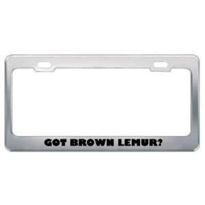 Got Brown Lemur? Animals Pets Metal License Plate Frame Holder Border 