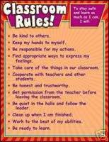 CLASSROOM RULES Stay Safe & Learn Chart Poster NEW  