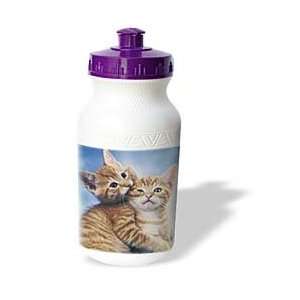    Florene Cats   Kitten Love   Water Bottles