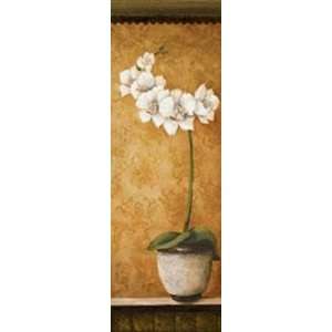 Hannas Orchids II by Susan Osborne 12x36  Kitchen 