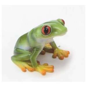  Rain Forest Frog 