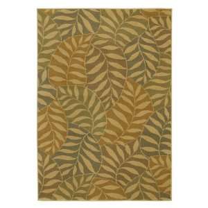  Shaw Living 8 x 10 Lyric Area Rug 3V50708110