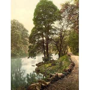  Vintage Travel Poster   Woods Bolton Abbey England 24 X 18 