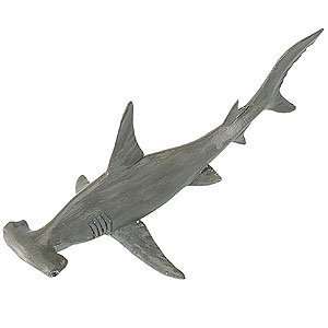  Wild Safari Sealife Hammerhead Shark Toys & Games