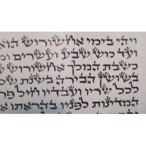 Kosher Handwritten Purim Megillah Scroll of Esther on Parchment HARAV 