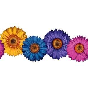  Gerber Daisy Purple and Yellow Wallpaper Border in MyPad 