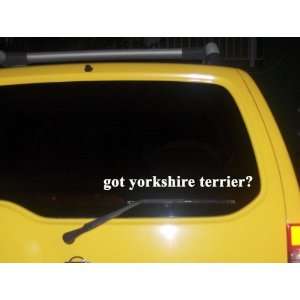  got yorkshire terrier? Funny decal sticker Brand New 