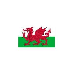  Wales Welsh Dragon Flag [Kitchen & Home]
