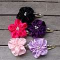 Barrettes & Clips   Buy Hair Accessories Online 