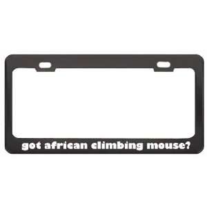 Got African Climbing Mouse? Animals Pets Black Metal License Plate 