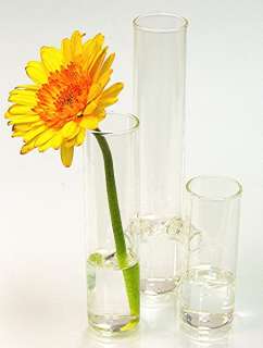 Tube Glass Vase 8 x 4  