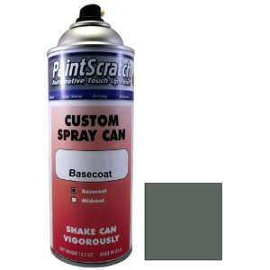  12.5 Oz. Spray Can of Pewter Gray Metallic Touch Up Paint 