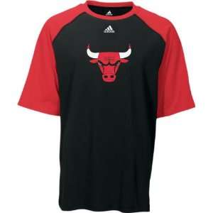 Men`s Chicago Bulls Primary S/S Crew Neck Tshirt  Sports 