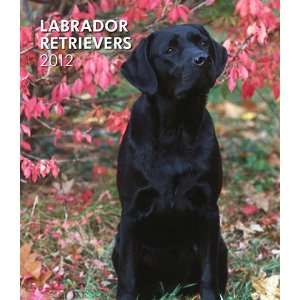 Labrador Retrievers 2012 Hardcover Engagement Calendar