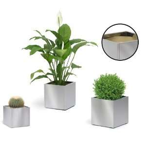 Stainless Steel Planters 