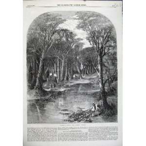  1859 Rook Shooting Sport Birds Trees Lake Alfred Slader 
