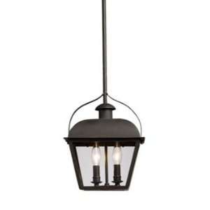 Steven and Chris by Artcraft SC562 Hemingway 2 Light Chandelier in 