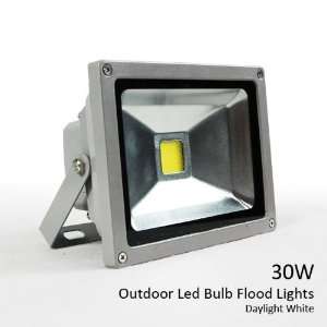  eTopLighting, LED DAY WHITE 30W FLOOD WASH LIGHT 110V 