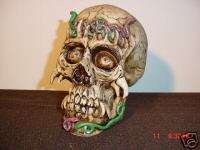 Skull Hand Sculpted/Painted by LTD Brand New  