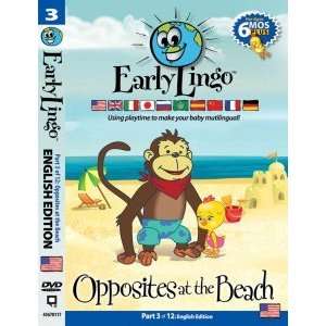   Early Lingo Opposites at the Beach English Edition Part 3 Movies & TV