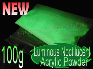 100g Luminous Noctilucent Acrylic Powder Glow In The Dark Party Queen 