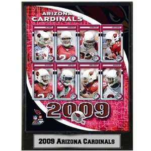  2009 Arizona Cardinals 9x12 Plaque
