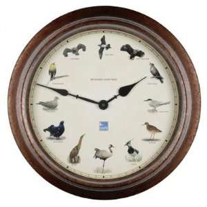  Outdoor Clock   Under Threat Birds 39.5cm (15.5)