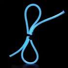 American Lighting LLC Flexbrite Neon Rope Light in Blue   Length 30