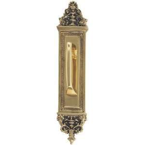  P5231 610 Apollo Highlighted Brass Pull Plate Door P