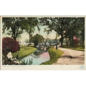  Reprint New Orleans LA   View in City Park 1906 