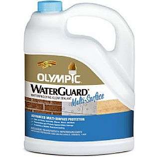   ® Waterproofing Multi Surface Sealant, Clear   1 gal.  Olympic