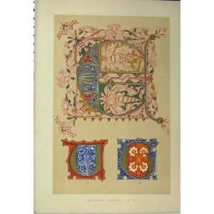   Fifteenth Century Calligraphy Design Colour Print