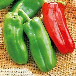 Pepper, Giant Marconi, 25 Seeds, Vegetable Seeds  