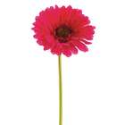 Allstate Floral Faux 9 Large Gerbera Daisy Stem Beauty (Pack of 24)