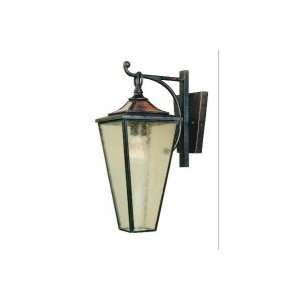  World Imports Lighting Amber Rays Outdoor Wall Sconce 