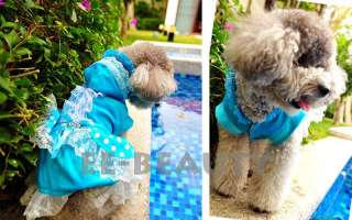 Royal Luxury Blue Lace Maid One Piece Dress Pet Dog Clothes Apparel 