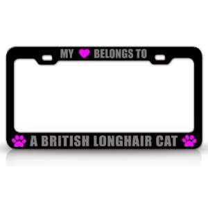 MY HEART BELONGS TO A BRITISH LONGHAIR Cat Pet Auto License Plate 