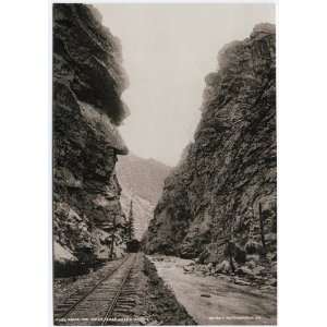  Reprint Above the Forks, Clear Creek Canyon 1904