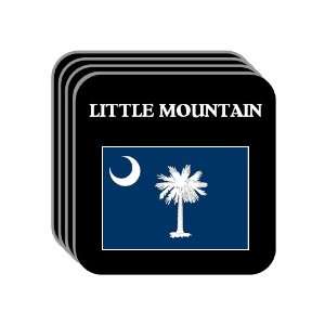  US State Flag   LITTLE MOUNTAIN, South Carolina (SC) Set 