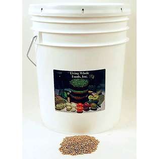  Living Whole Foods 35 pound Bucket of Organic Kamut at 