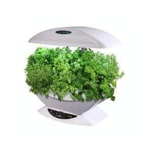  AeroGrow AeroGarden TM Indoor Garden KitWhite AeroGrow 