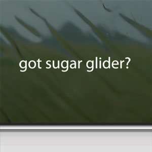  Got Sugar Glider? White Sticker Animal House Pet Laptop 