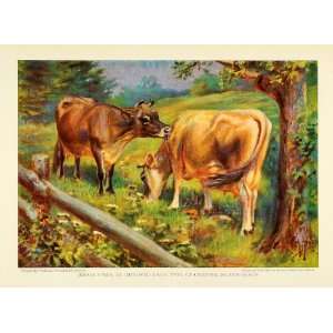 1925 Print Jersey Cow Dairy Channel Island Animals Herd Cattle Breed E 