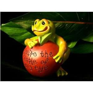  Second Nature Frog Apple Of My Eye Paperweight