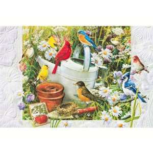   Garden Bday   Everyday Greeting Cards. Pack of 6 