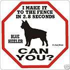 Blue Heeler 2.8 Fence Dog Sign   Many Pet Breeds Avail.
