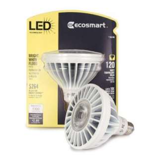   Watt (125W) LED Flood Light Bulb ECS 38 V2 WW FL 120 