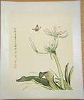 Chinesisches Blumen Aquarell,Chin.Beschriftet A13 A89