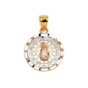  Mis 15 Anos 14k Tricolor Gold Virgin Mary Round Pendant Jewelry